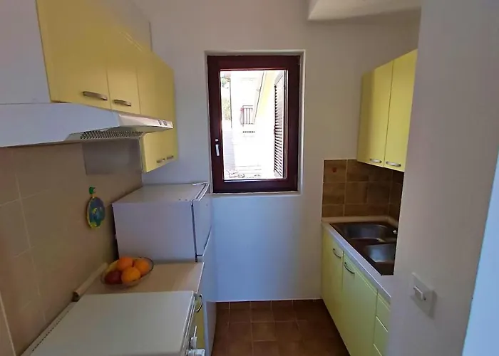 公寓 Roscic 奥米什