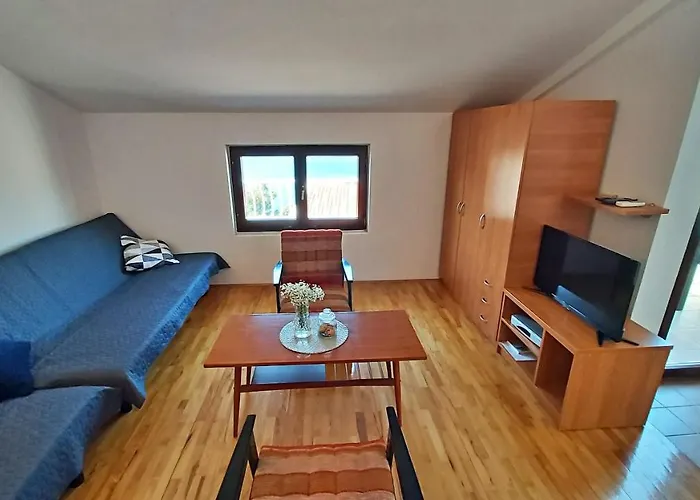 公寓 Roscic 奥米什