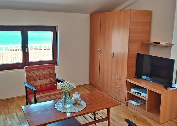 公寓 Roscic 奥米什