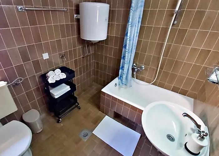 公寓 Roscic 奥米什